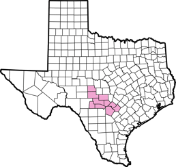 SLCC 11-LT PINK Randy Garza 1-30-25
