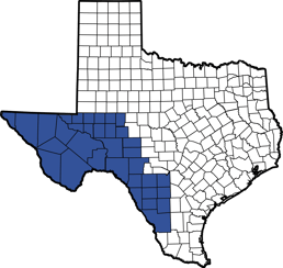 SLCC 13-DK BLUE Clarissa Rangel 1-30-25