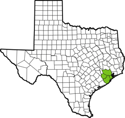 SLCC 9-LT GREEN Manuel Trejo 1-30-25